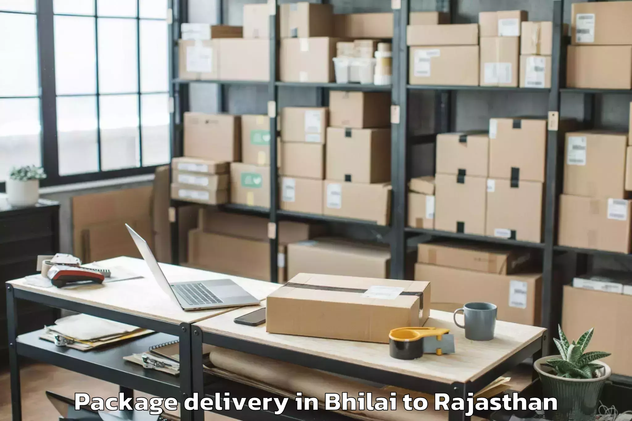 Reliable Bhilai to Rajsamand Package Delivery